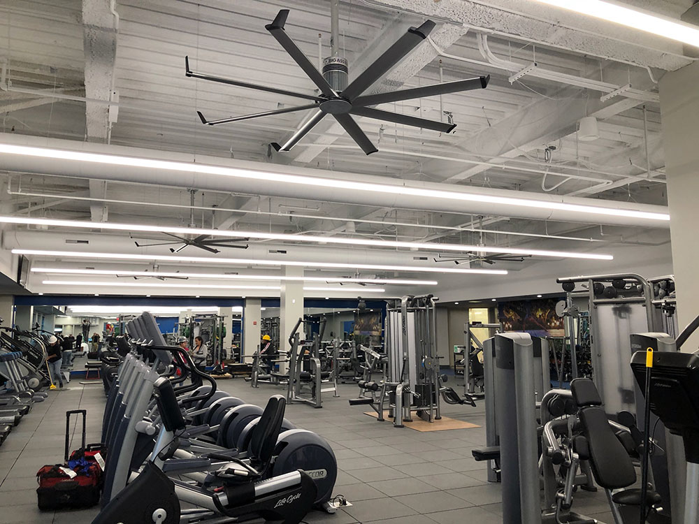 Recreation Facility Lighting and Fans